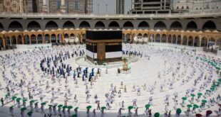 هيئة-كبار-العلماء-السعودية