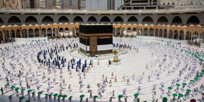 هيئة-كبار-العلماء-السعودية