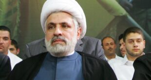 نعيم قاسم