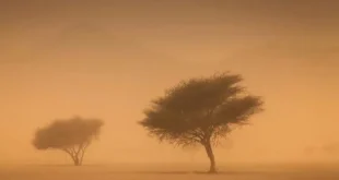 العواصف الترابية