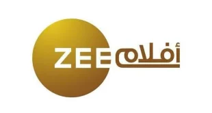 قناة زي