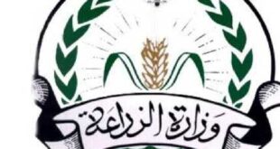 دعم المشاريع الجماعية لتوفير فرص عمل للمهندسين الزراعيين في الأردن