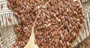 فوائد بذور الكتان للعظام والمفاصل وخشونة الركبة